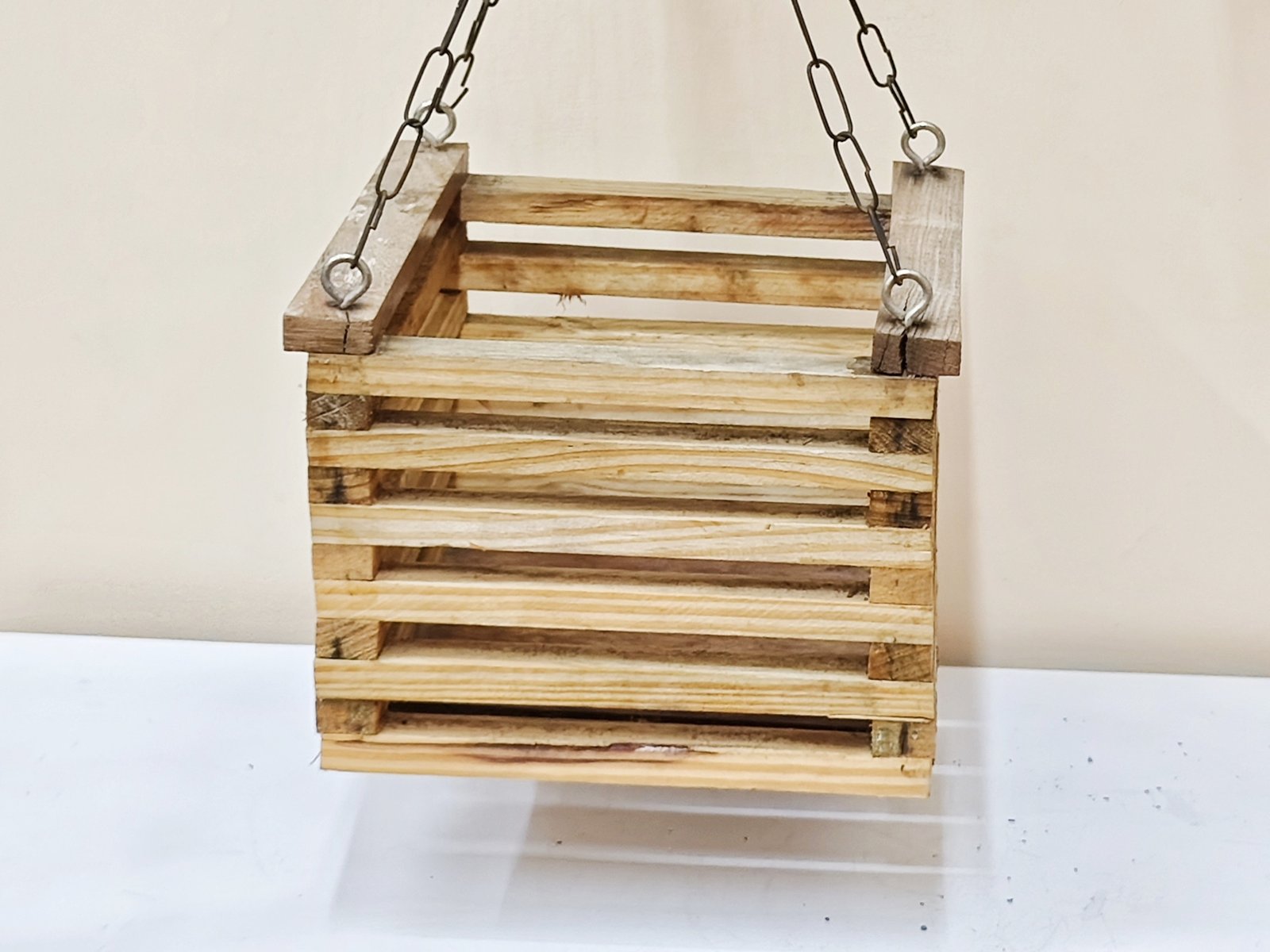 Orchid Pot hover