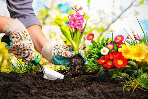 Hire a Gardner